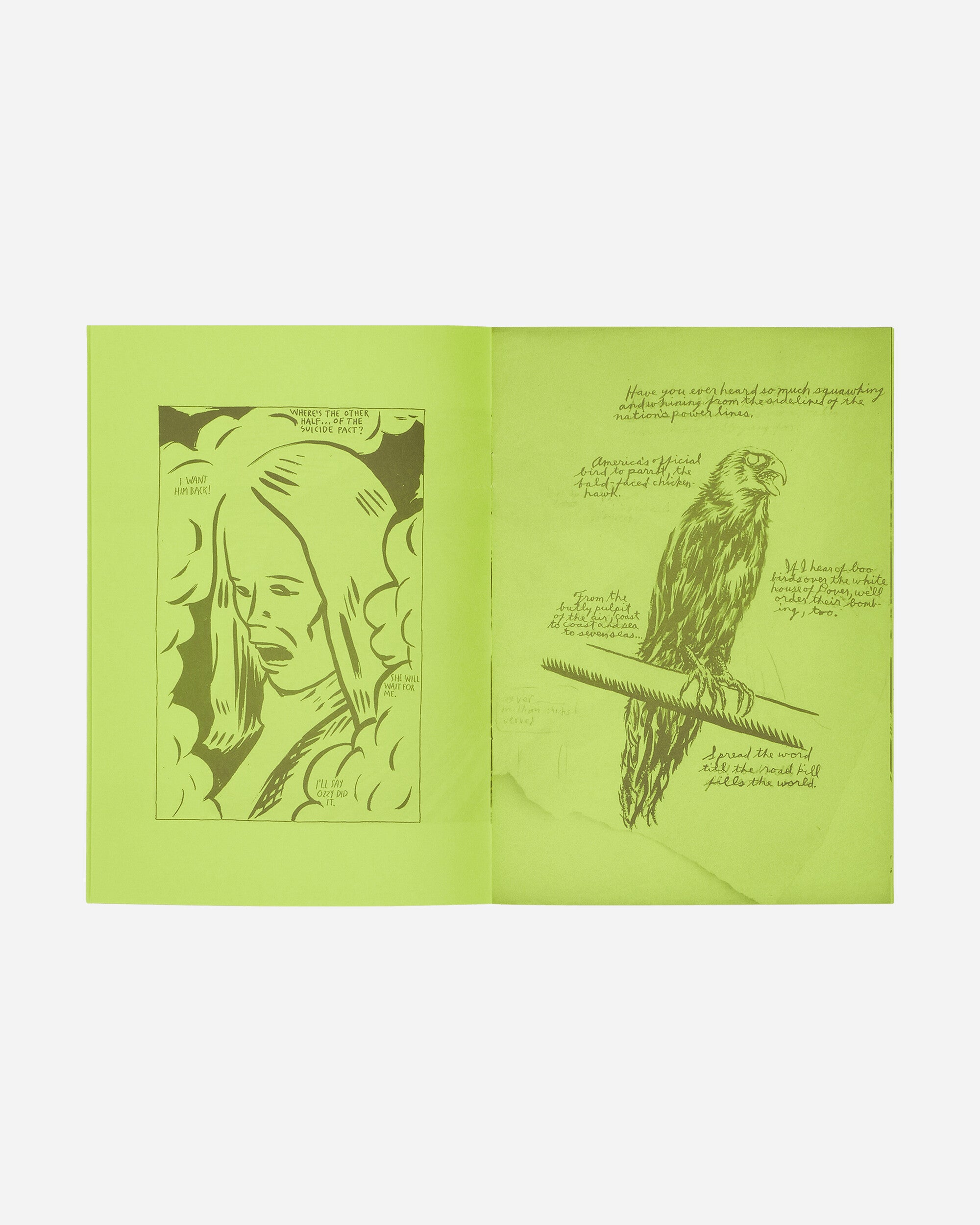 Innen Publishing Raymond Pettibon: Selected Works From 1982 To 2011 Multicolor Books and Magazines Books IPPETTI82 001