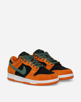 Nike Nike Dunk Low Sp Black/Nori/Ceramic Sneakers Low DA1469-001