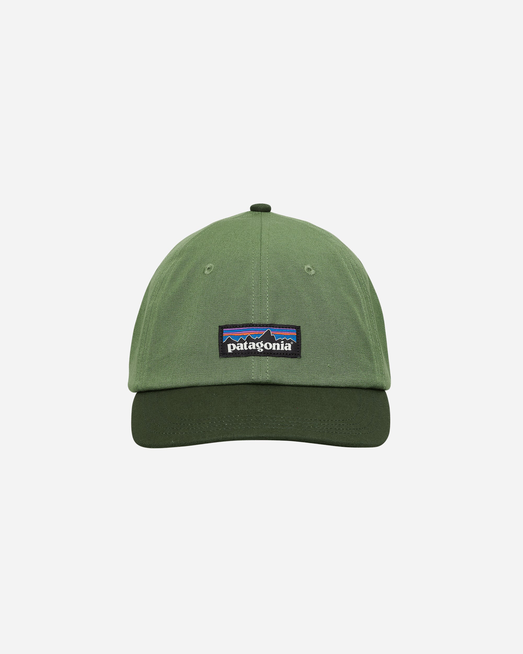 Patagonia P-6 Label Trad Cap Terrain Green  Hats Caps 38296 TNGR