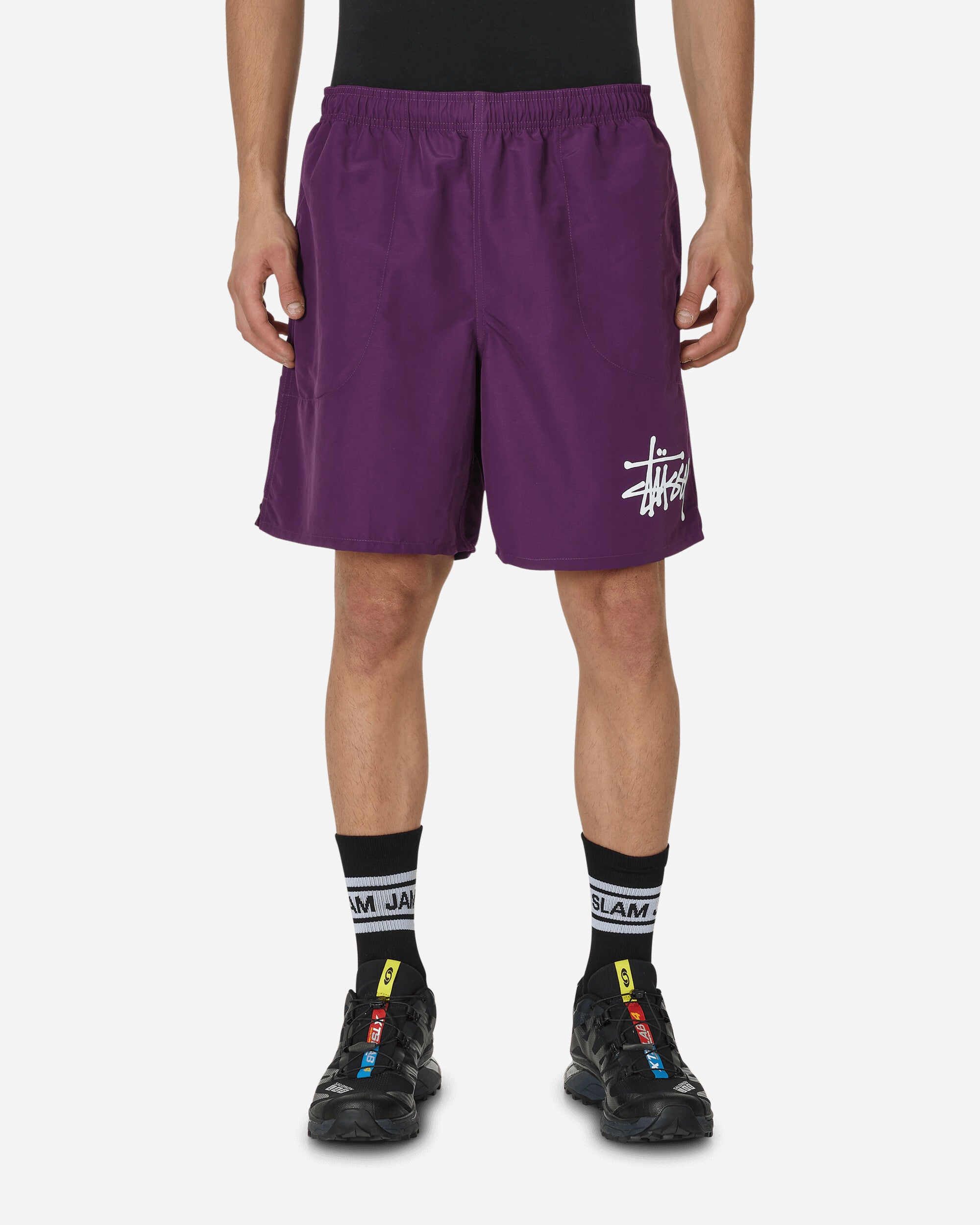 Stussy purple discount shorts