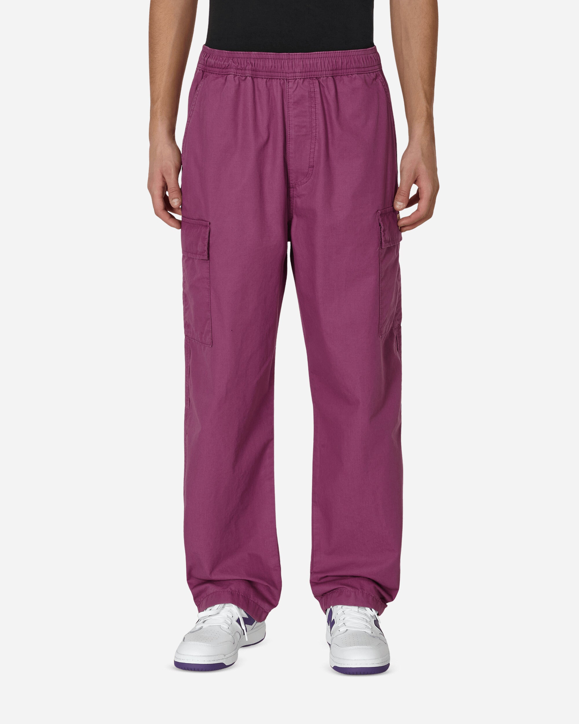 ファッションStussy Ripstop Cargo Beach Pant purple S
